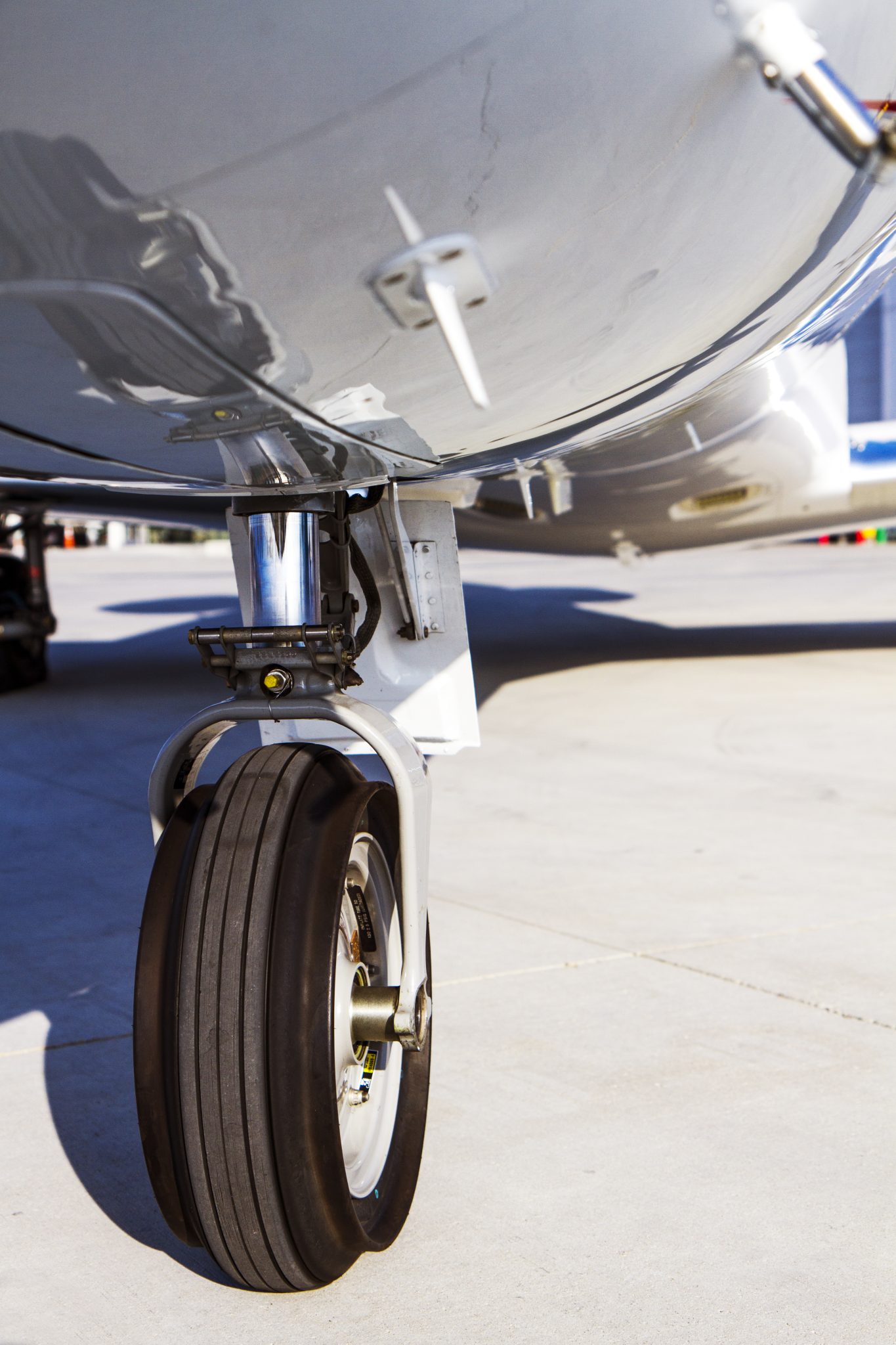 IMG_2107_copy_zyglss.jpg