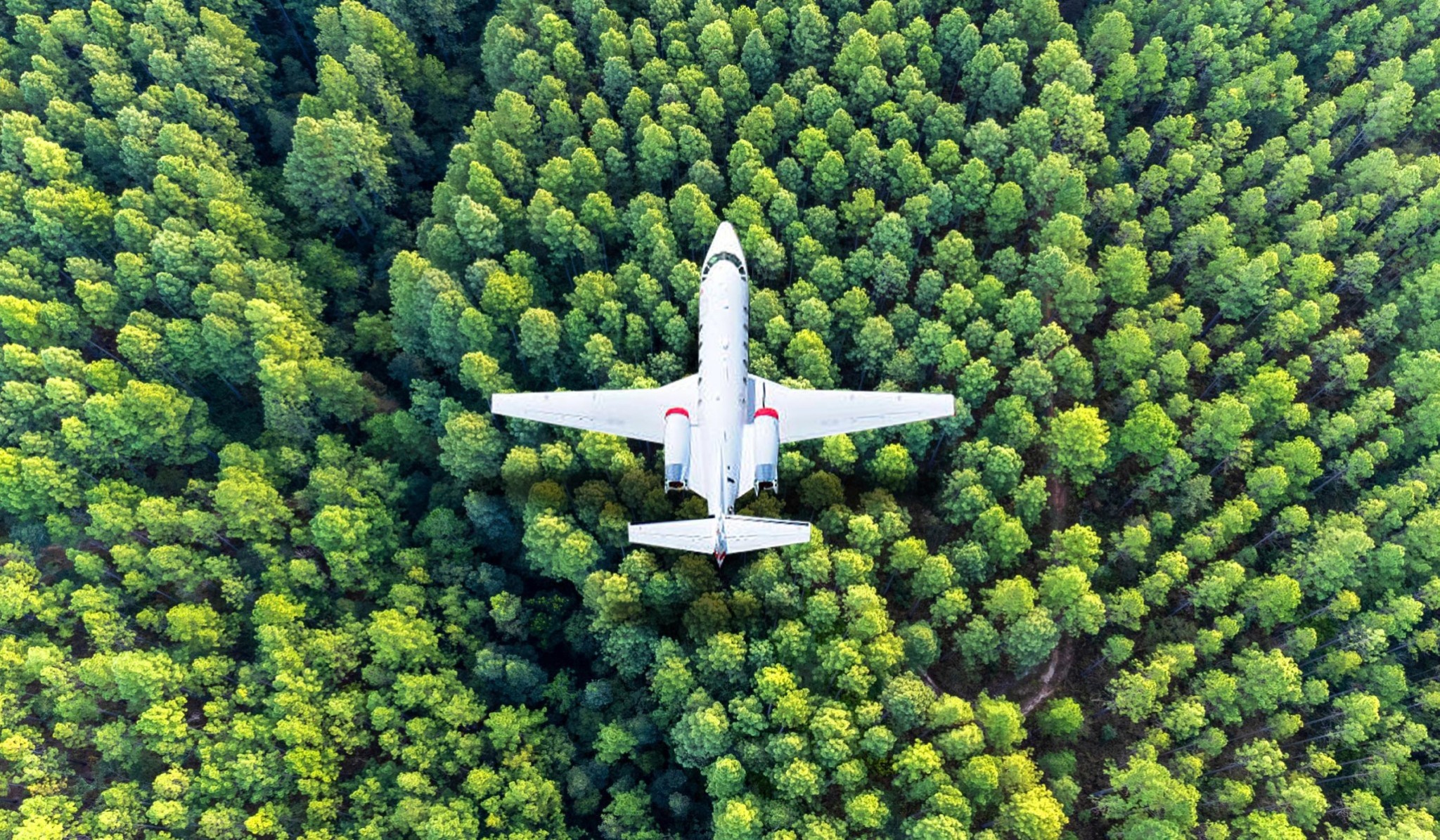 The Green Flight Path: How Private Jet Owners are Embracing Sustainability